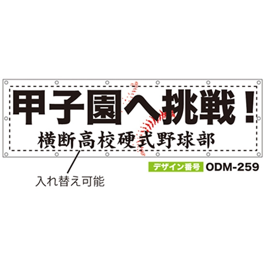 【別注】名入れ応援幕（横型） ODM-0259【受注生産】