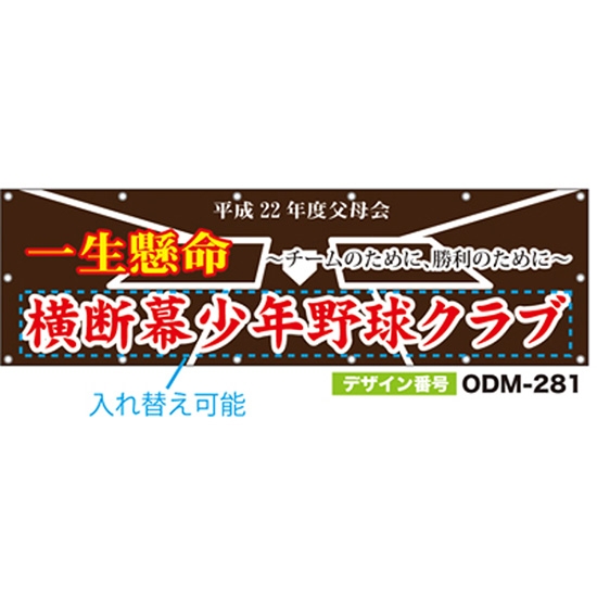 【別注】名入れ応援幕（横型） ODM-0281【受注生産】