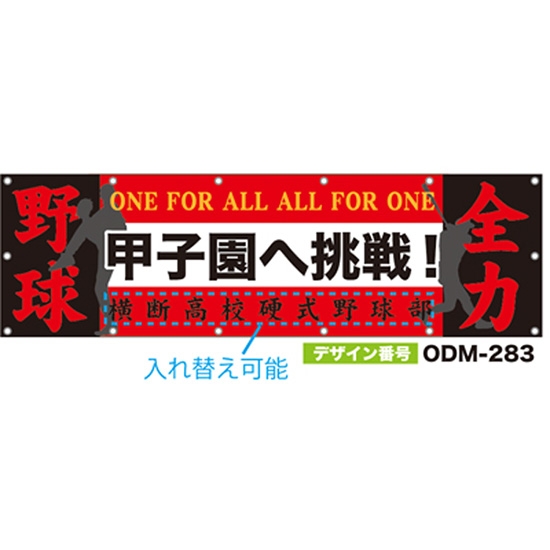 【別注】名入れ応援幕（横型） ODM-0283【受注生産】