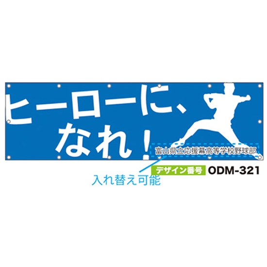 【別注】名入れ応援幕（横型） ODM-0321【受注生産】