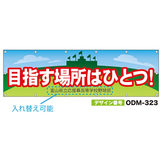【別注】名入れ応援幕（横型） ODM-0323【受注生産】