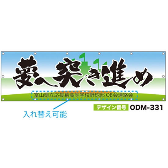 【別注】名入れ応援幕（横型） ODM-0331【受注生産】