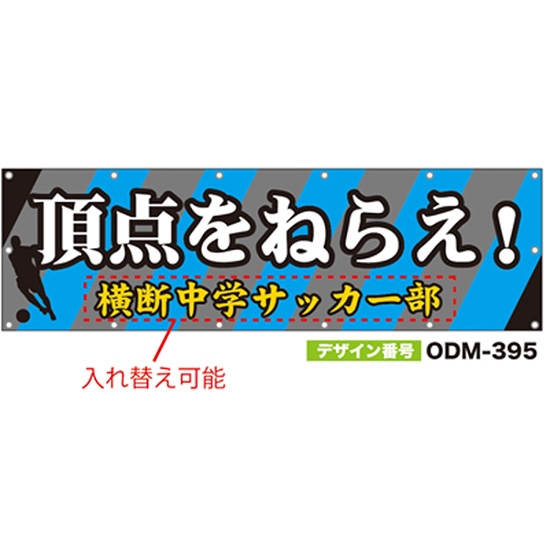 【別注】名入れ応援幕（横型） ODM-0395【受注生産】
