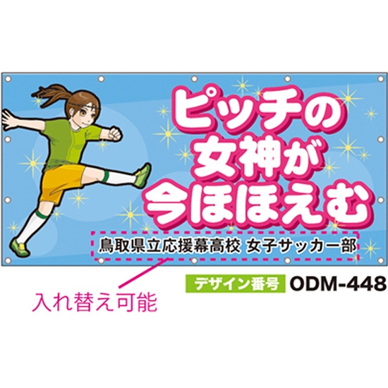 【別注】名入れ応援幕（四角型） ODM-0448【受注生産】