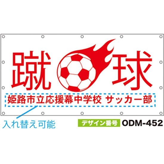 【別注】名入れ応援幕（四角型） ODM-0452【受注生産】