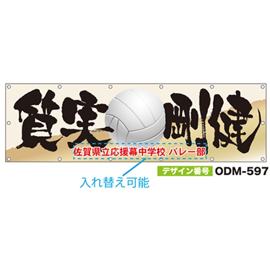 【別注】名入れ応援幕（横型） ODM-0597【受注生産】