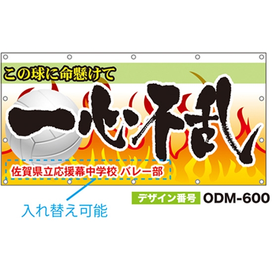 【別注】名入れ応援幕（四角型） ODM-0600【受注生産】