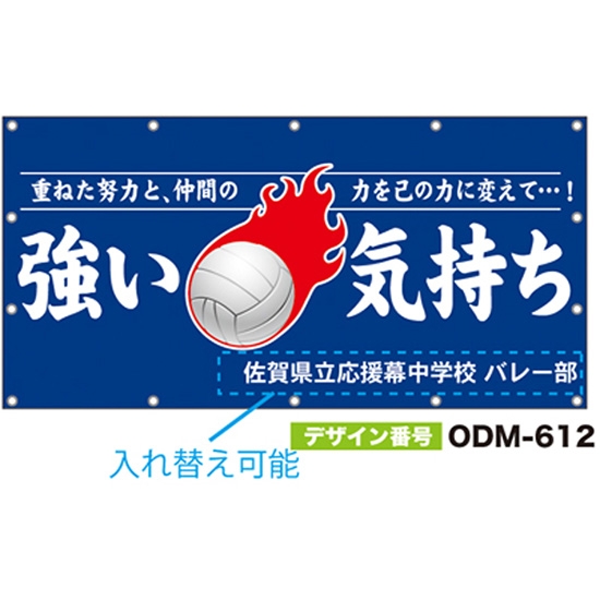 【別注】名入れ応援幕（四角型） ODM-0612【受注生産】