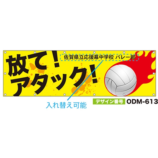 【別注】名入れ応援幕（横型） ODM-0613【受注生産】