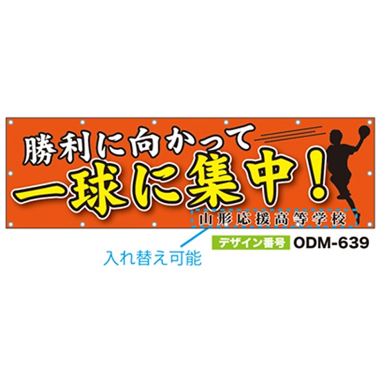 【別注】名入れ応援幕（横型） ODM-0639【受注生産】
