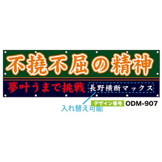 【別注】名入れ応援幕（横型） ODM-0907【受注生産】
