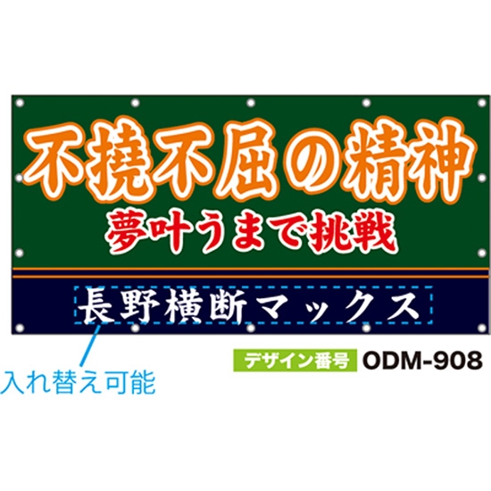 【別注】名入れ応援幕（四角型） ODM-0908【受注生産】