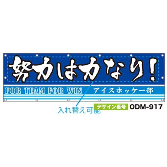 【別注】名入れ応援幕（横型） ODM-0917【受注生産】