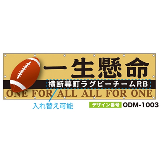 【別注】名入れ応援幕（横型） ODM-1003【受注生産】