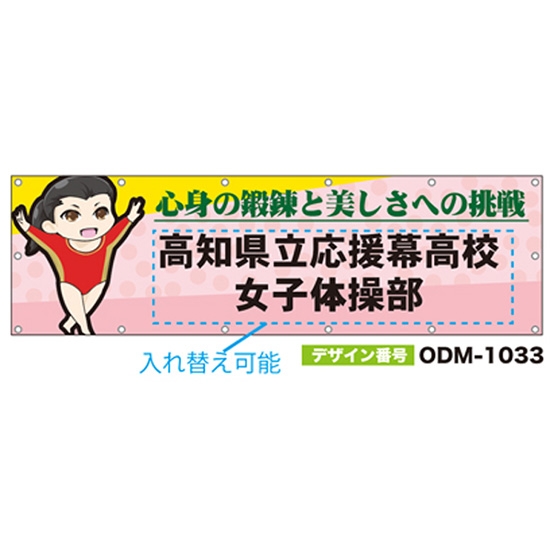 【別注】名入れ応援幕（横型） ODM-1033【受注生産】