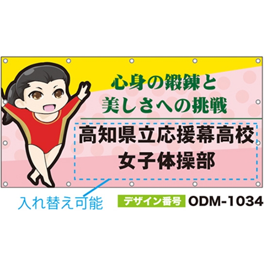 【別注】名入れ応援幕（四角型） ODM-1034【受注生産】
