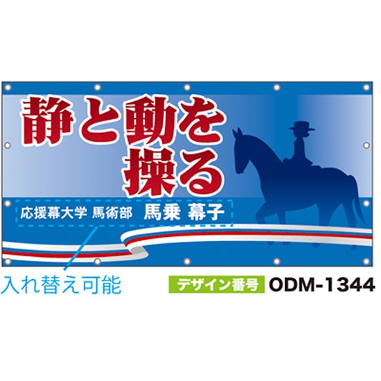 【別注】名入れ応援幕（四角型） ODM-1344【受注生産】