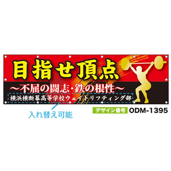 【別注】名入れ応援幕（横型） ODM-1395【受注生産】