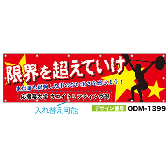 【別注】名入れ応援幕（横型） ODM-1399【受注生産】