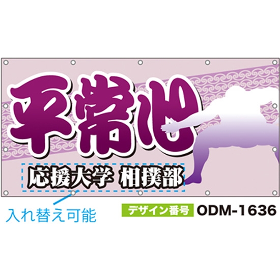 【別注】名入れ応援幕（四角型） ODM-1636【受注生産】