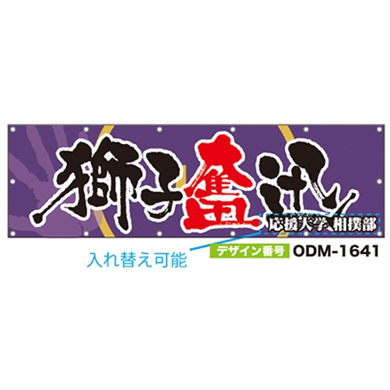 【別注】名入れ応援幕（横型） ODM-1641【受注生産】