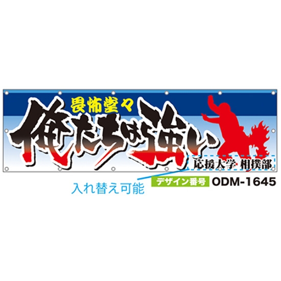 【別注】名入れ応援幕（横型） ODM-1645【受注生産】