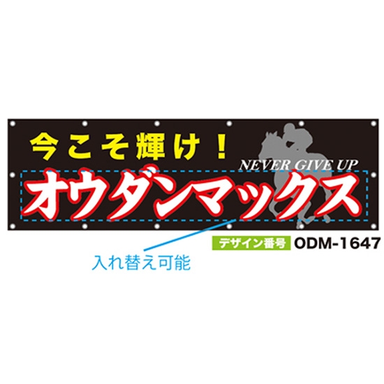 【別注】名入れ応援幕（横型） ODM-1647【受注生産】
