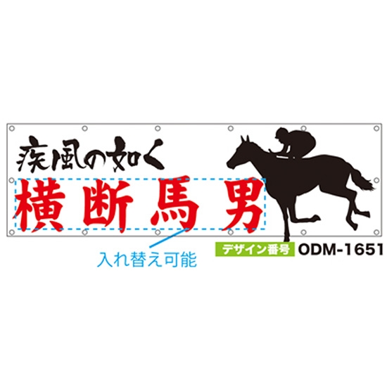 【別注】名入れ応援幕（横型） ODM-1651【受注生産】
