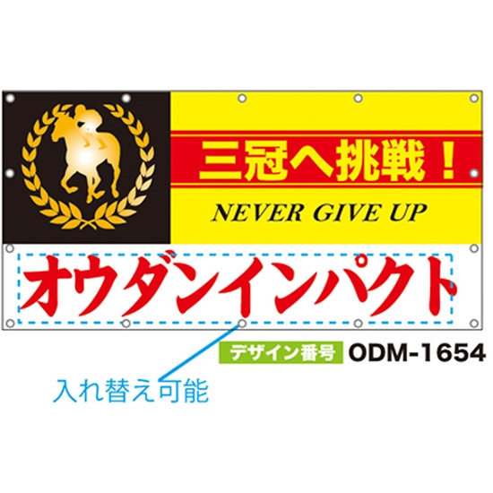 【別注】名入れ応援幕（四角型） ODM-1654【受注生産】