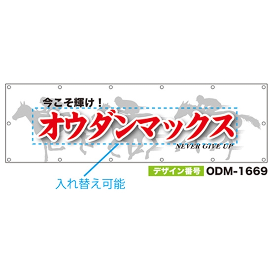 【別注】名入れ応援幕（横型） ODM-1669【受注生産】