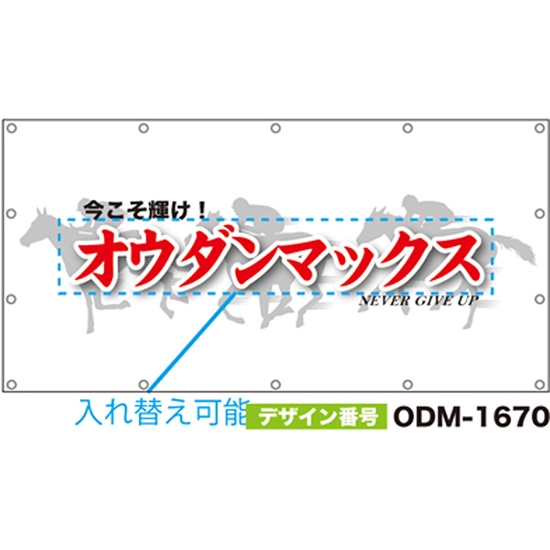 【別注】名入れ応援幕（四角型） ODM-1670【受注生産】