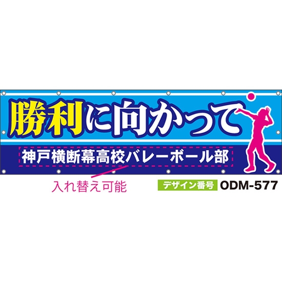 【別注】名入れ応援幕（横型） 勝利に向かって （水色） ODM-0577【受注生産】
