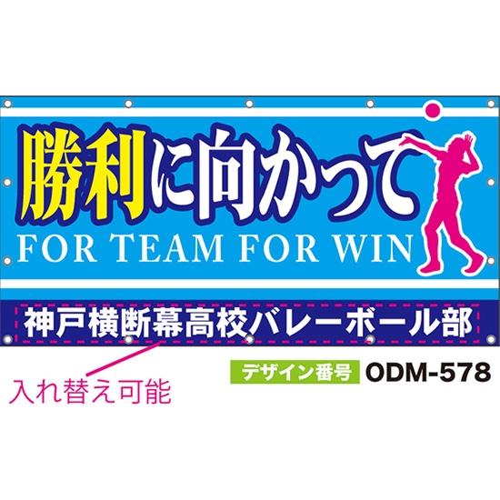 【別注】名入れ応援幕（四角型） 勝利に向かって FOR TEAM FOR WIN （水色） ODM-0578【受注生産】