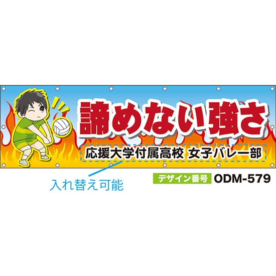 【別注】名入れ応援幕（横型） 諦めない強さ （水色） ODM-0579【受注生産】