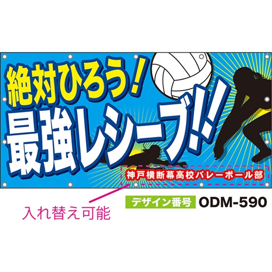 【別注】名入れ応援幕（四角型） 絶対ひろう！最強レシーブ！！ （水色） ODM-0590【受注生産】