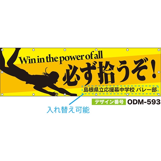 【別注】名入れ応援幕（横型） 必ず拾うぞ！Win in the power of all （黄） ODM-0593【受注生産】