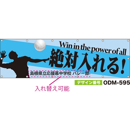 【別注】名入れ応援幕（横型） 絶対入れる！Win in the power of all （水色） ODM-0595【受注生産】