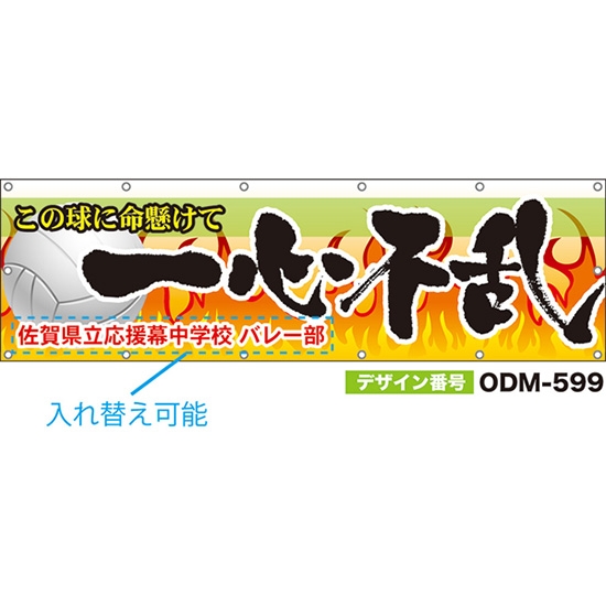 【別注】名入れ応援幕（横型） 一心不乱 この球に命懸けて （橙） ODM-0599【受注生産】