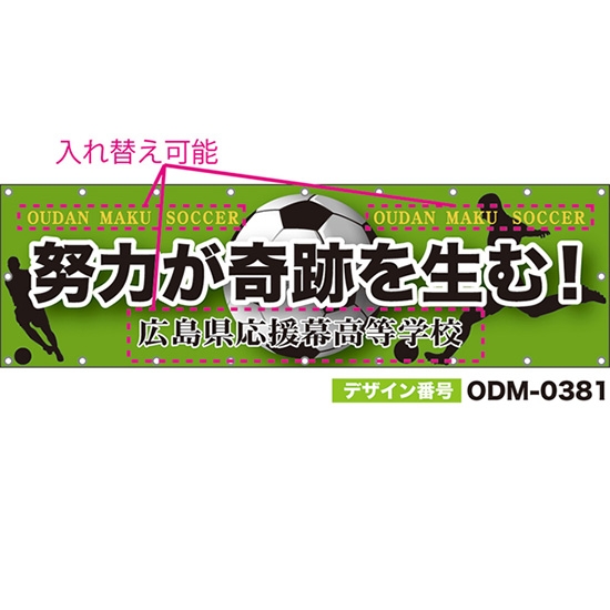 【別注】名入れ応援幕(横型) 努力が奇跡を生む! (緑) ODM-0381【受注生産】