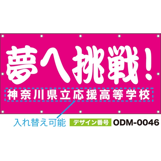 【別注】名入れ応援幕(四角型) 夢へ挑戦! (ピンク) ODM-0046【受注生産】