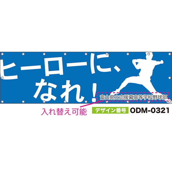 【別注】名入れ応援幕(横型) ヒーローに、なれ! (青) ODM-0321【受注生産】