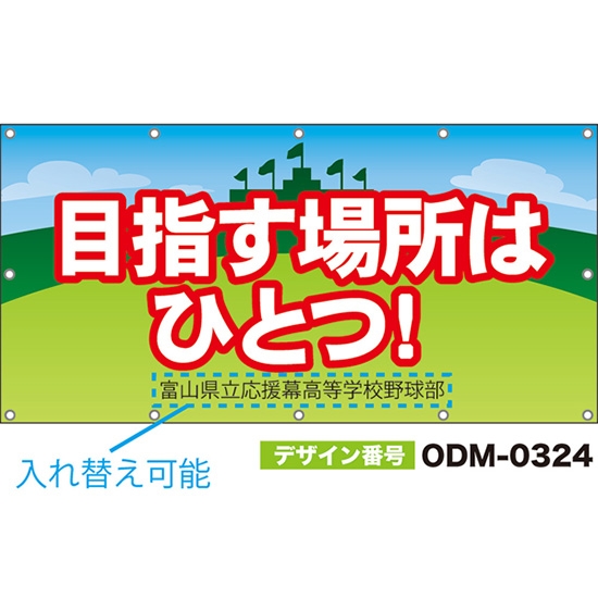 【別注】名入れ応援幕(四角型) 目指す場所はひとつ! (水色・黄緑) ODM-0324【受注生産】