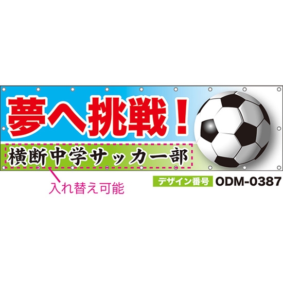 【別注】名入れ応援幕(横型) 夢へ挑戦! (水色) ODM-0387【受注生産】