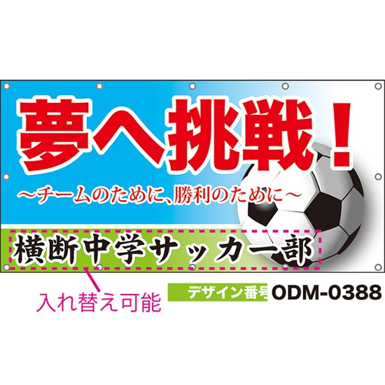 【別注】名入れ応援幕(四角型) 夢へ挑戦! チームのために、勝利のために (水色) ODM-0388【受注生産】