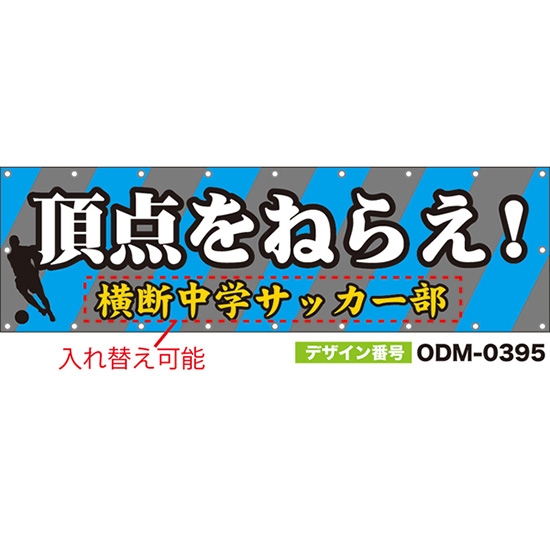【別注】名入れ応援幕(横型) 頂点をねらえ! (グレー・水色) ODM-0395【受注生産】