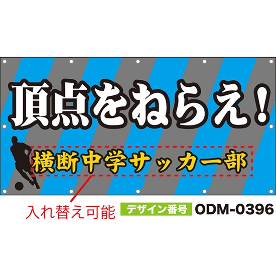 【別注】名入れ応援幕(四角型) 頂点をねらえ! (グレー・水色) ODM-0396【受注生産】