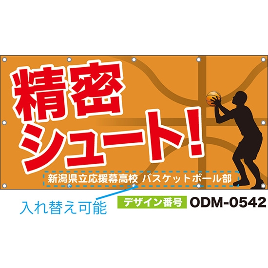 【別注】名入れ応援幕(四角型) 精密シュート! (橙) ODM-0542【受注生産】