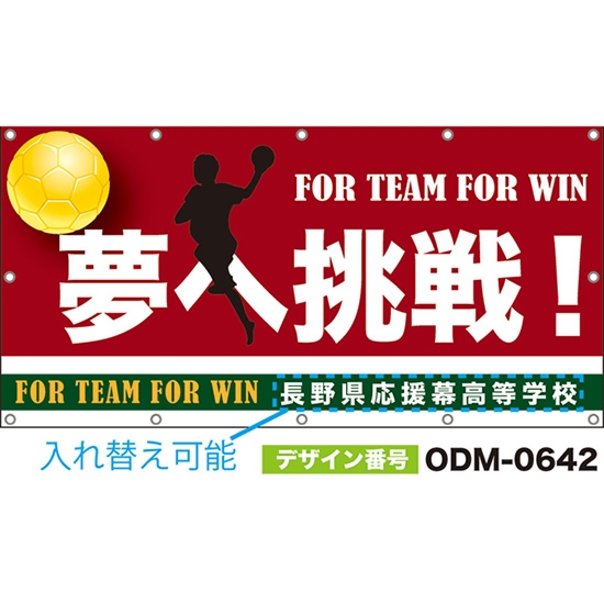 【別注】名入れ応援幕(四角型) 夢へ挑戦!FOR TEAM FOR WIN (赤) ODM-0642【受注生産】