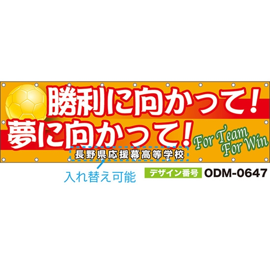 【別注】名入れ応援幕（横型） 勝利に向かって！夢に向かって！For Team For Win （橙） ODM-0647【受注生産】