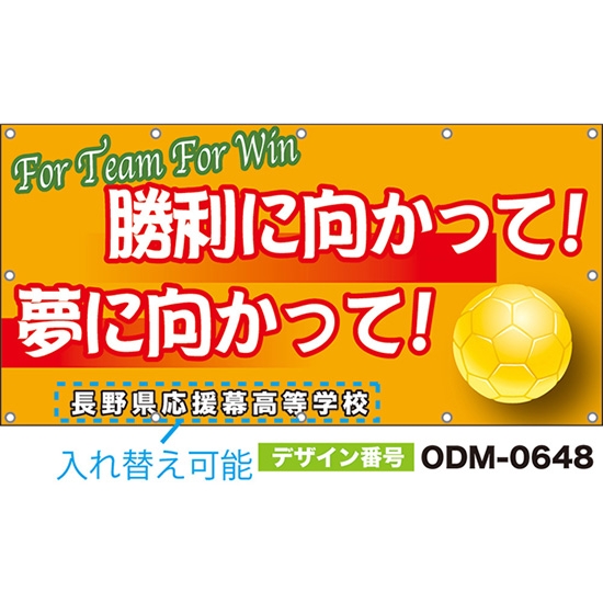 【別注】名入れ応援幕（四角型） 勝利に向かって！夢に向かって！For Team For Win （橙） ODM-0648【受注生産】